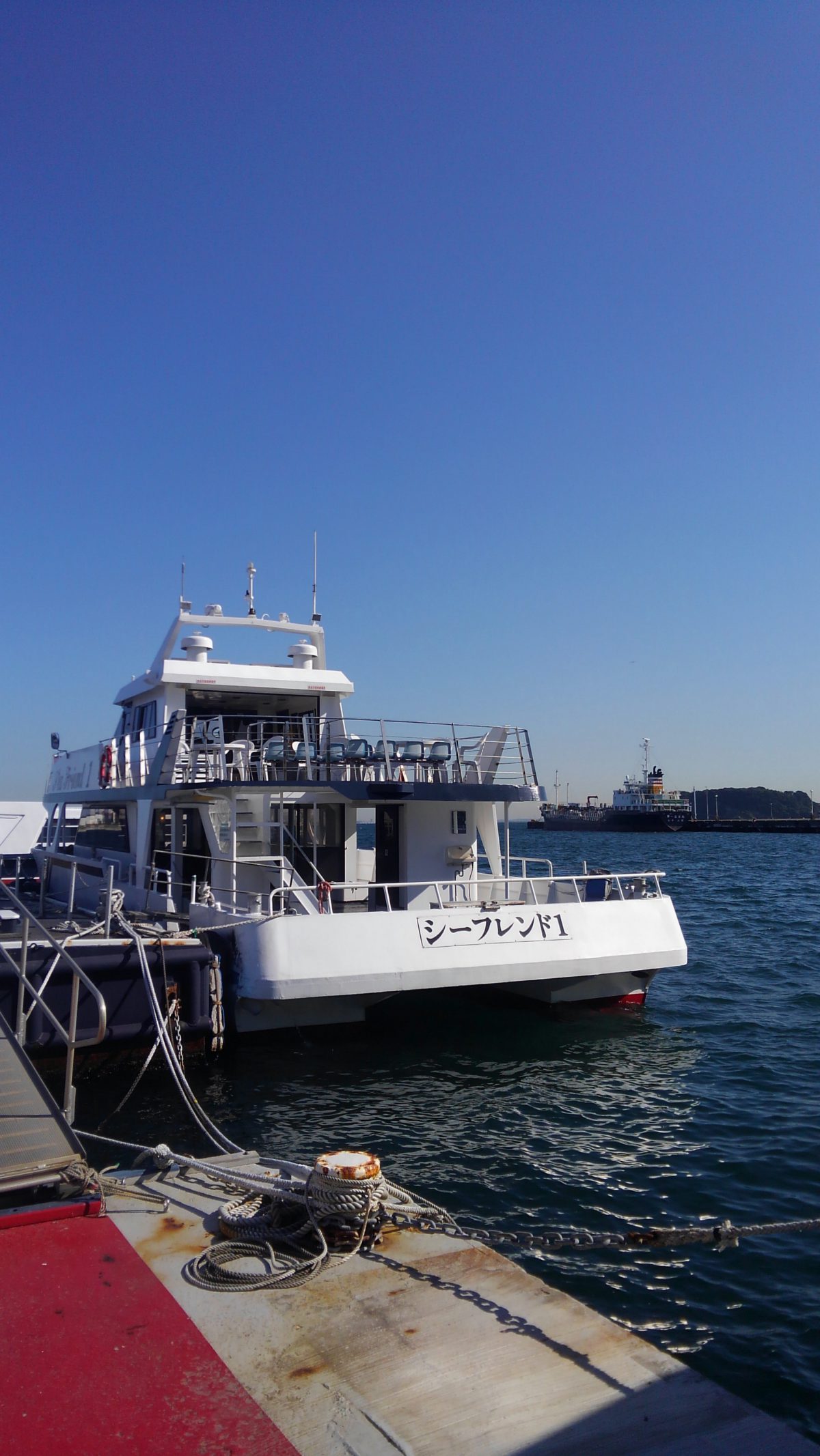 東京湾ー海洋散骨。